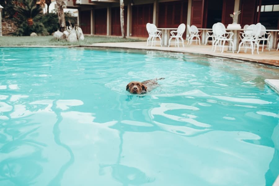 Photo Pool Builder Chandler Az