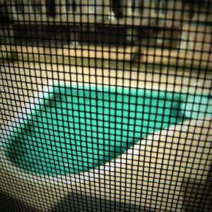 Photo Pool Contractor
