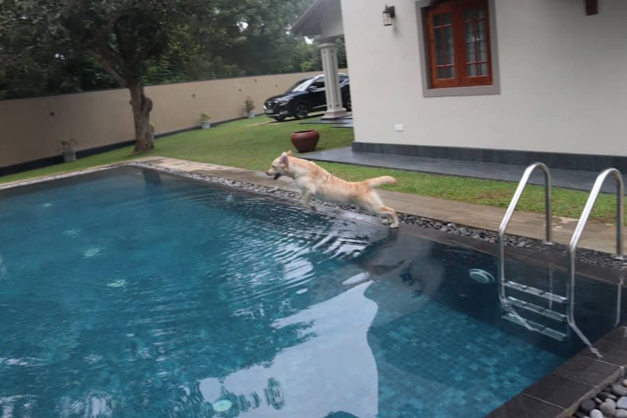 Photo Pool Builder