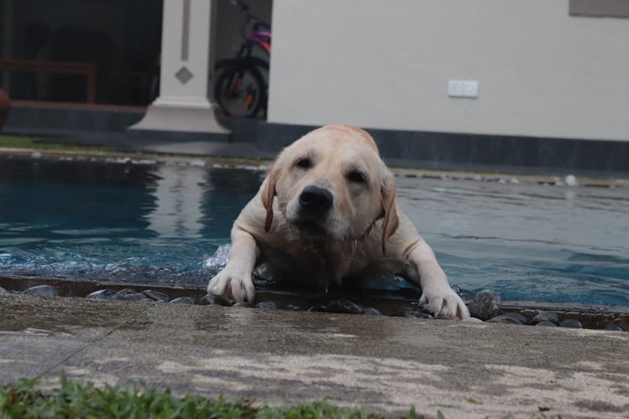 Photo Pool Builder