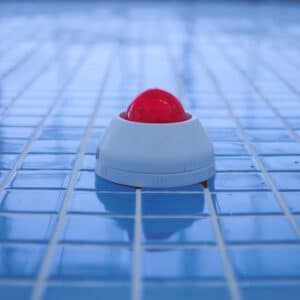 Photo Pool Contractor