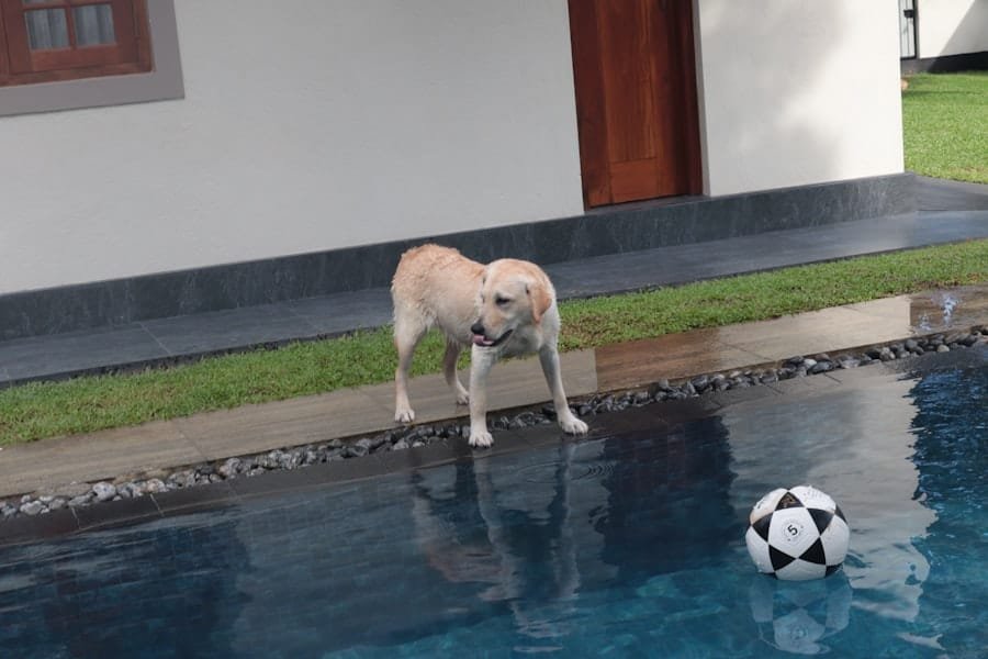 Pool Builder