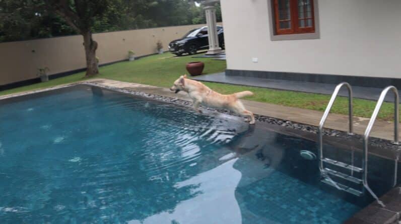 Photo Pool Builder