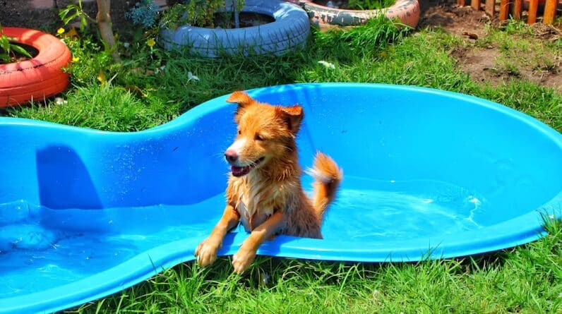 Photo Pool Builder
