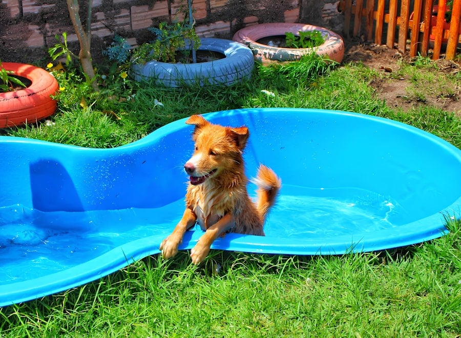 Photo Pool Builder